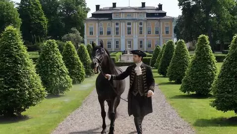 AI Video from prompt: man and horse walk forward, slowly, the horse sh