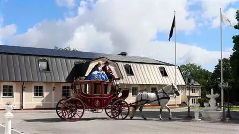 AI Video from prompt: häst med vagnen går framåt sakta