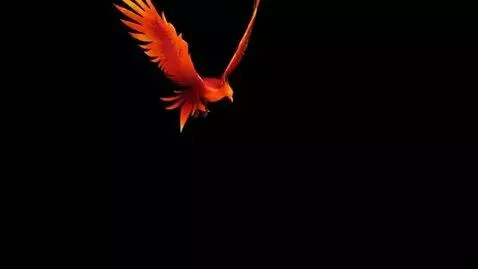 AI Video from prompt: A phoenix bird flies in from outside the frame a
