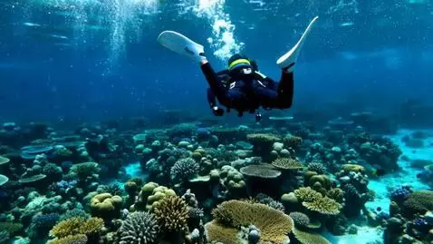 AI Video from prompt: Men sink slowly to a reef and transform into the