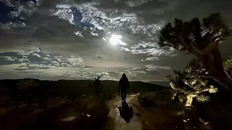 AI Video from prompt: the man walks away down the path, the camera fol