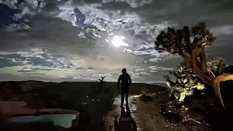 AI Video from prompt: the man walks away down the path, the camera fol