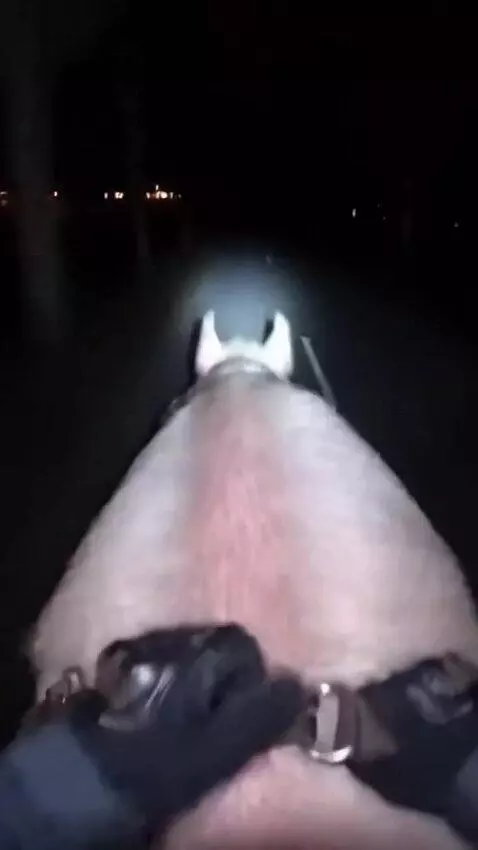 AI Video from prompt: In the first person. The night is deaf, dark, I'
