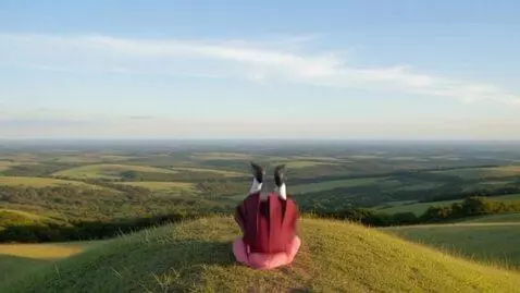 AI Video from prompt: The black girl starts burrowing down in the gras