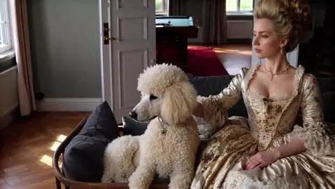 AI Video from prompt: kvinna klappar på hunden