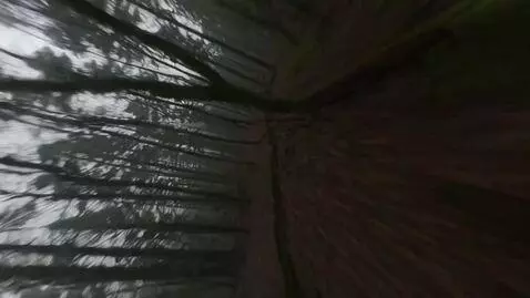 AI Video from prompt: An extreme high-speed FPV drone freestyle footag