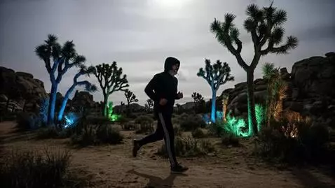 AI Video from prompt: the man runs on the path through the Joshua Tree