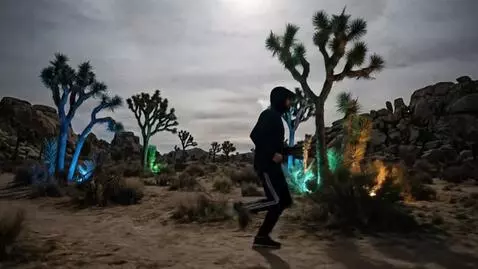 AI Video from prompt: the man runs on the path through the Joshua Tree