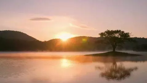 AI Video from prompt: silent subliminal I am lucky