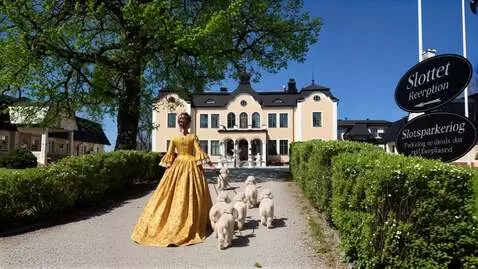 AI Video from prompt: kvinna med sina hundar går sakta mot slottet