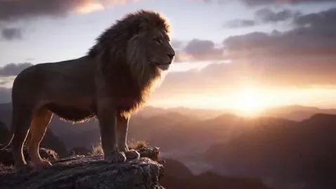 AI Video from prompt: A majestic golden lion standing on a high cliff 