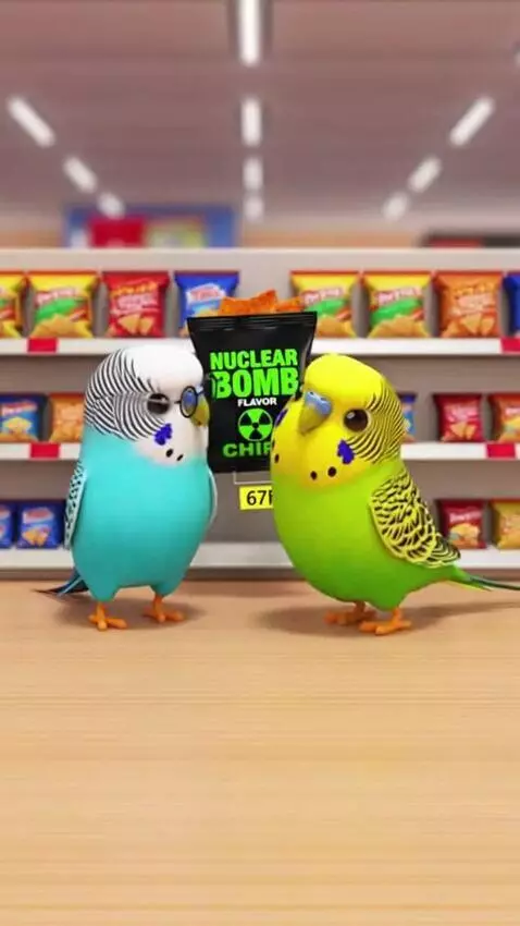 AI Video from prompt: Two budgies walk into a store, then they see nuc