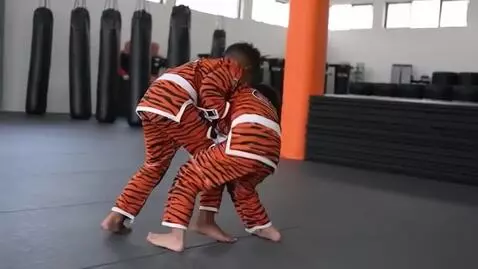 AI Video from prompt: two boys at six years,wearing tiger stiped bjj j