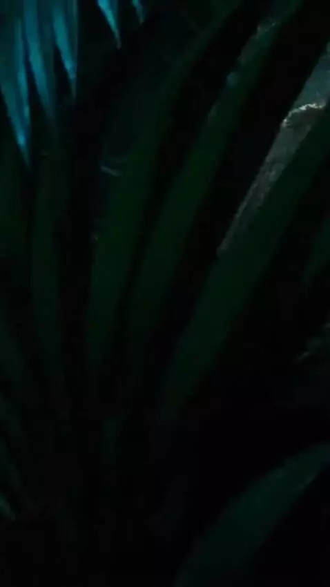 AI Video from prompt: Cinematic vertical video, 4K HDR, using digital 