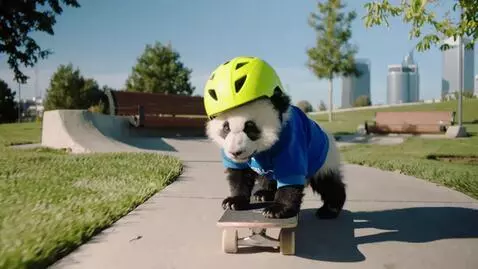 AI Video from prompt: 🐼 A baby panda learning to skateboard in a park.