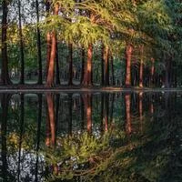 floweryshapehammer452