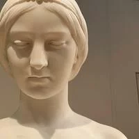 glisteningseedpurchase418