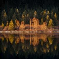 enthusiasticsignforego166