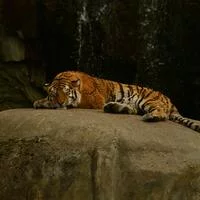 broadfrictionafford386