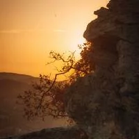 tranquilcakespray993