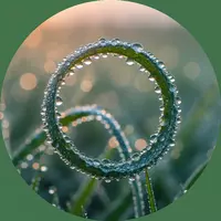 wakefulmintpretend836