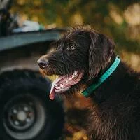 amusingchairrecommend460