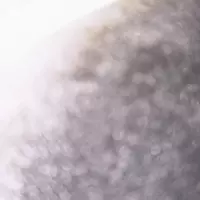 droogix