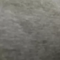 ContradictoryXenoliths