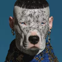 Dandyman