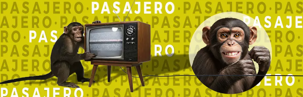pasajero profile