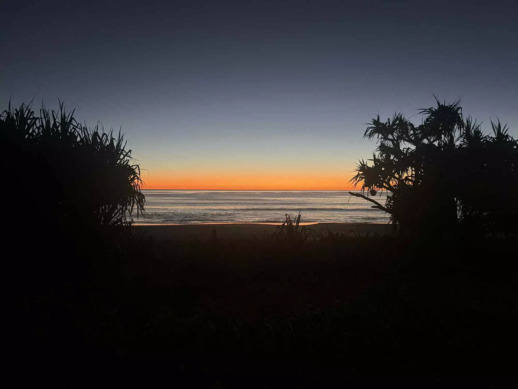 earthshot profile