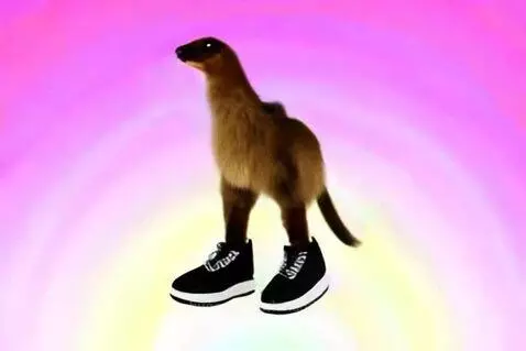 A capybara wearing sneakers stands on its hind legs and appears to dance against a colorful rainbow background.