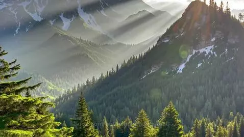Sunlit mountain forest landscape with snow-capped peaks, transitioning to a geometric design with a circular logo.