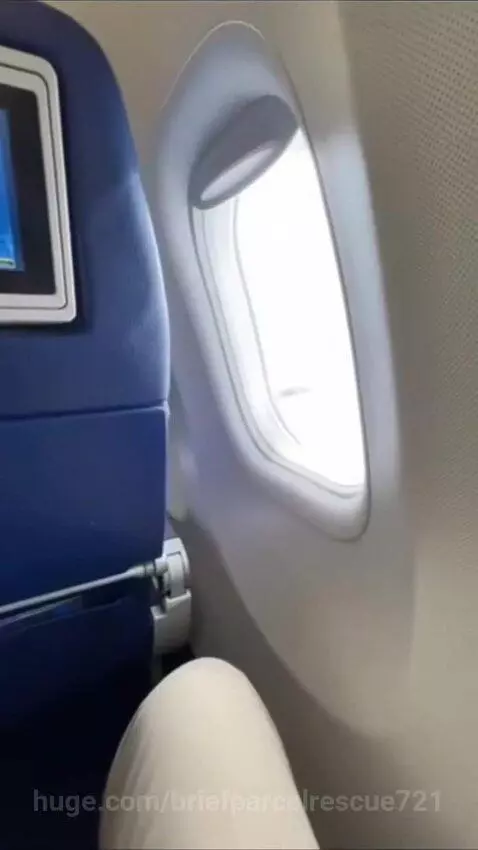 First-person view from airplane window, then hand reaching for grass with yellow flowers on the ground.