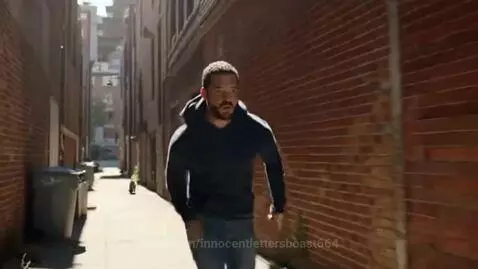 Man in a blue hoodie running down a brick alleyway, pursued by a large group of orange and brown cats.