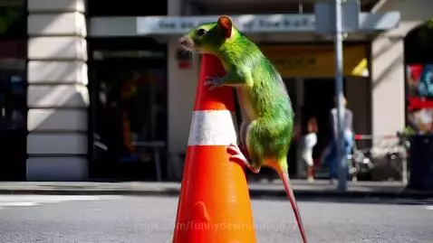 A green creature with a red tail stands on a traffic cone as cars speed by on a street.