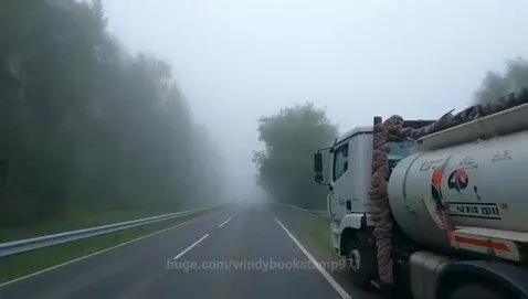 White truck with a tank and twisted hose drives on a road surrounded by trees in foggy weather.