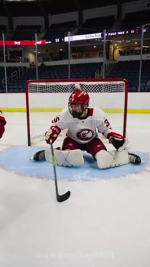 Hockey player Alexander Ovechkin in a red Capitals jersey scores a goal past goalie Sergei Bobrovsky in a white and red Panthers jersey.