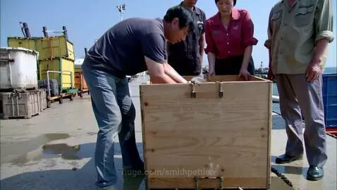 Port workers carefully lifting a spotted cat out of a wooden crate on a ship deck, with the sea in the background.