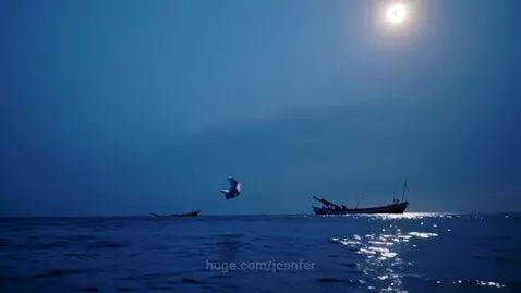 A white shirt floats on a dark navy ocean at night, with moon reflection and distant rocks.