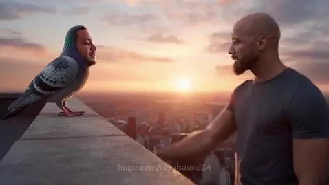 Dwayne Johnson hugging a crying pigeon with a human face on a skyscraper at sunset.