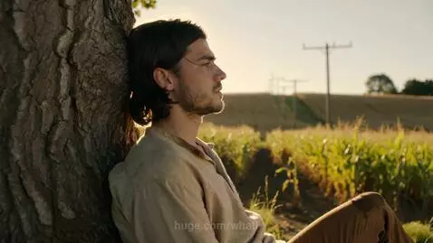 Young man with long dark hair leans against a tree, watching the sunset over a cornfield with heat haze.