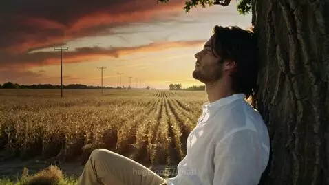 Man with long dark hair and beard leaning against a tree, watching the sunset over a cornfield with heat haze.