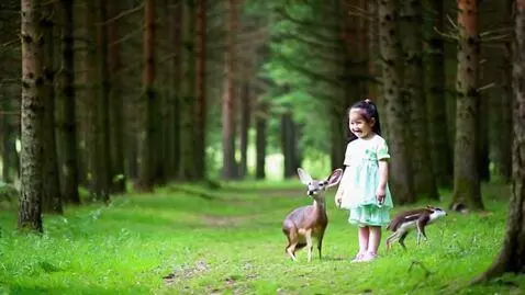 Young girl in green dress and pink shoes smiling and playing with two deer in a lush green forest.