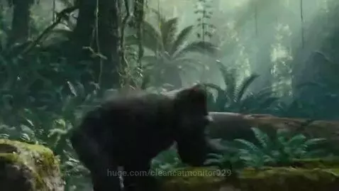 A realistic gorilla jumping from a moss-covered rock to another across a stream in a dense jungle.