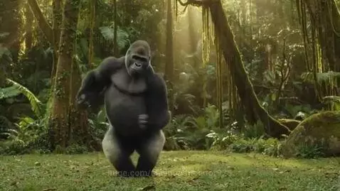 A muscular silverback gorilla with dark fur dancing energetically in a lush, green jungle clearing.