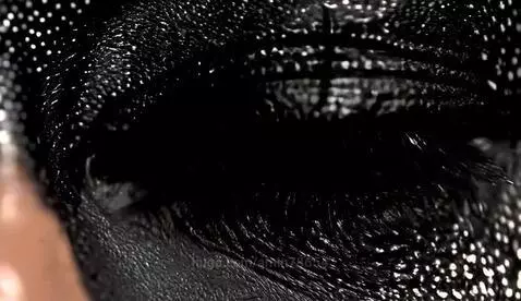 Close-up of a dragon eye with black, textured skin and a fiery orange and yellow iris.