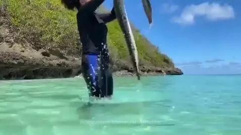 Woman in wetsuit holding a large, patterned moray eel over her head in turquoise water near a green island.
