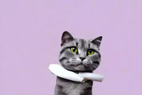 A gray tabby cat with bright green eyes and a white fur-like collar sits against a purple background, looking at the viewer.