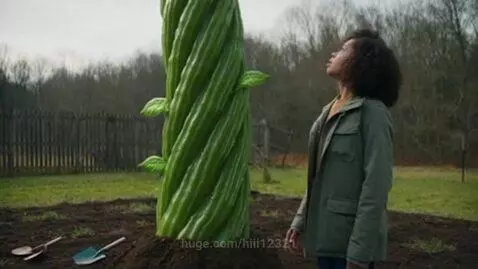 Young woman in a green jacket looking up at a giant, spiraling green beanstalk growing out of the soil in a garden.